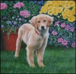 (image for) Flower Pup